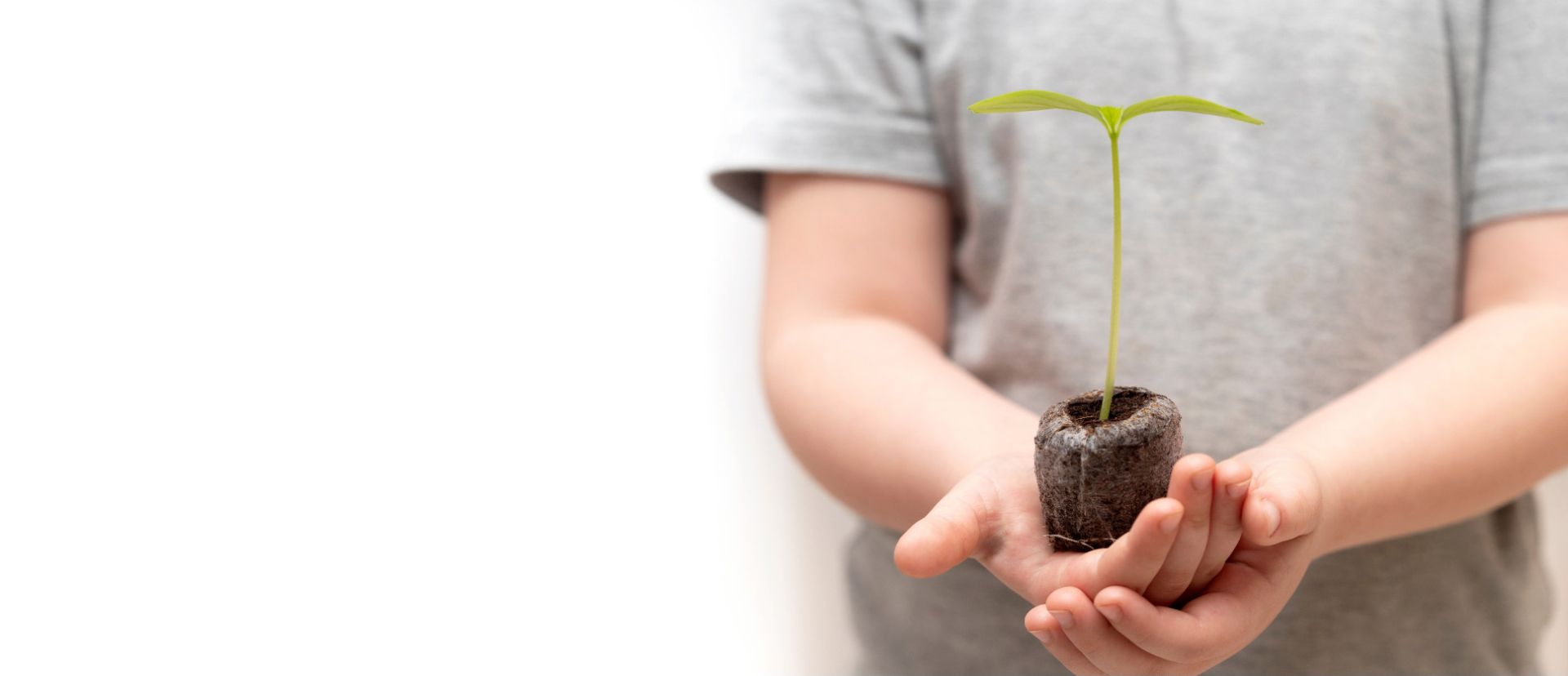 Child holding small sprouting plant in their hands