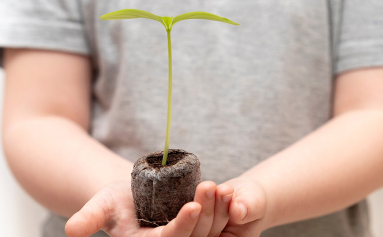 Child holding small sprouting plant in their hands