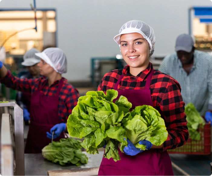 Woman holding large heads of lettuce