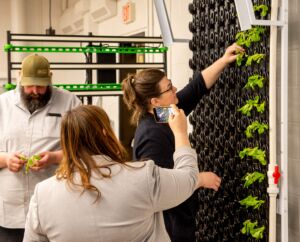 Hydroponic Education Rack Setup