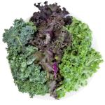 Kale-Powered-Greens-2-150x150.jpg