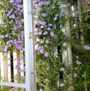 Large indoor growing wall