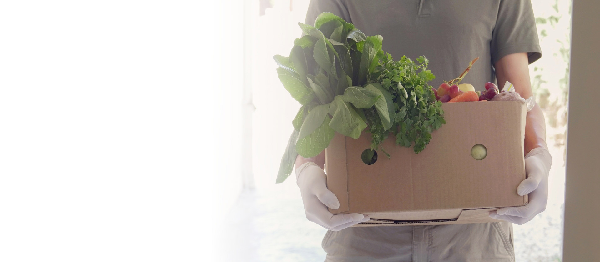 Person holding box of fresh vegetables