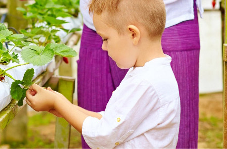 Child touching plant