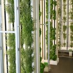 Farm in a box / indoor farming technology