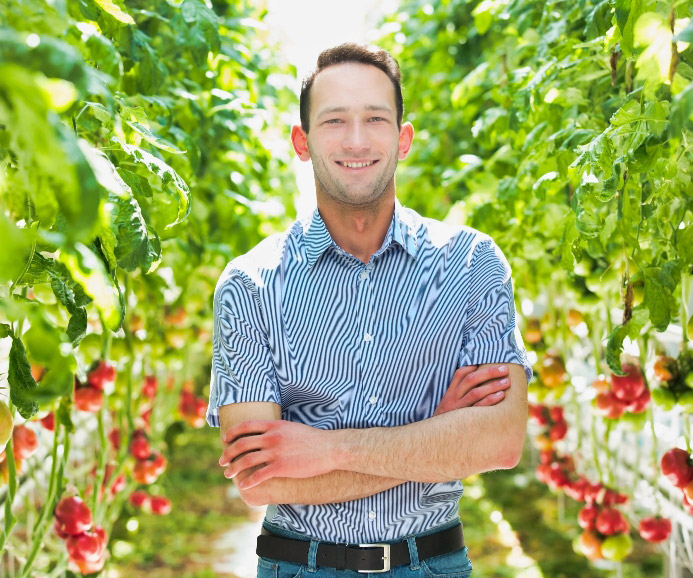 Man standing in between rows of hydroponically grown tomatoes