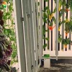 Commercial Indoor farm