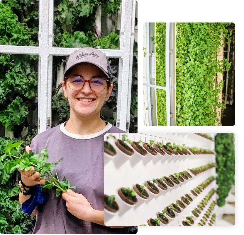 Grow walls with NuLeaf plant scientist