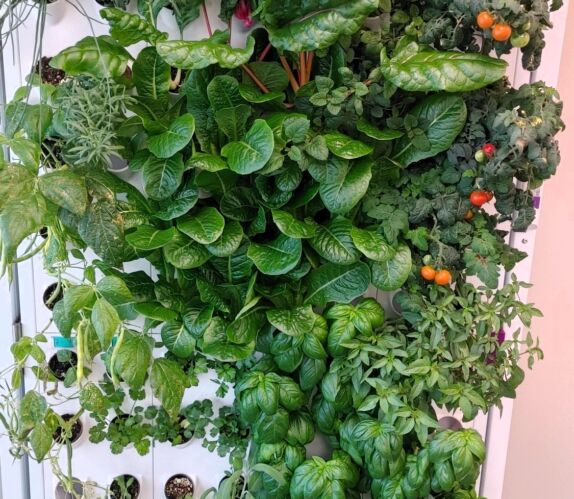 72 plant port- Indoor Garden Kit