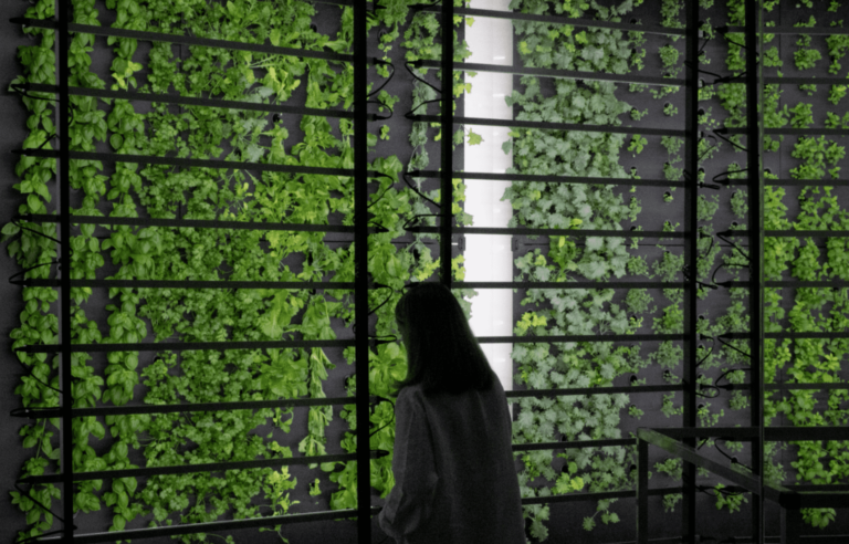 Retrofit Indoor Farms
