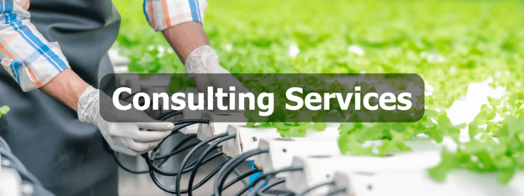 Consulting services header 1024x384