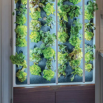 Eco living wall 2 150x150