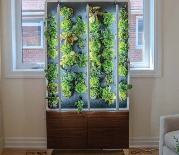 Indoor Garden- Eco Living Wall