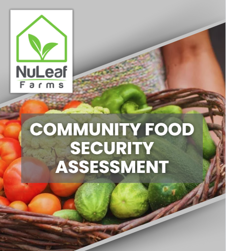 Food security assessment