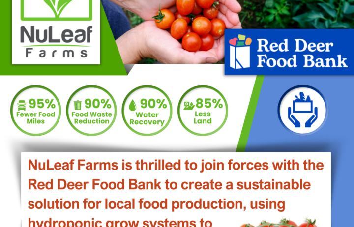 Red Deer Food Bank Indoor Farming