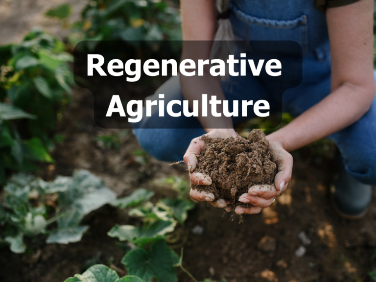 Regenerative ag header 768x576