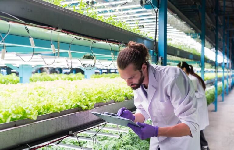 Indoor Farm Research