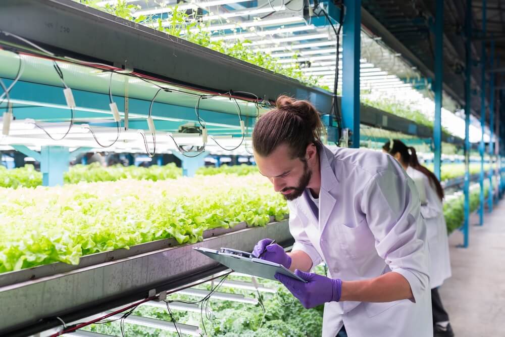 Vertical Farming