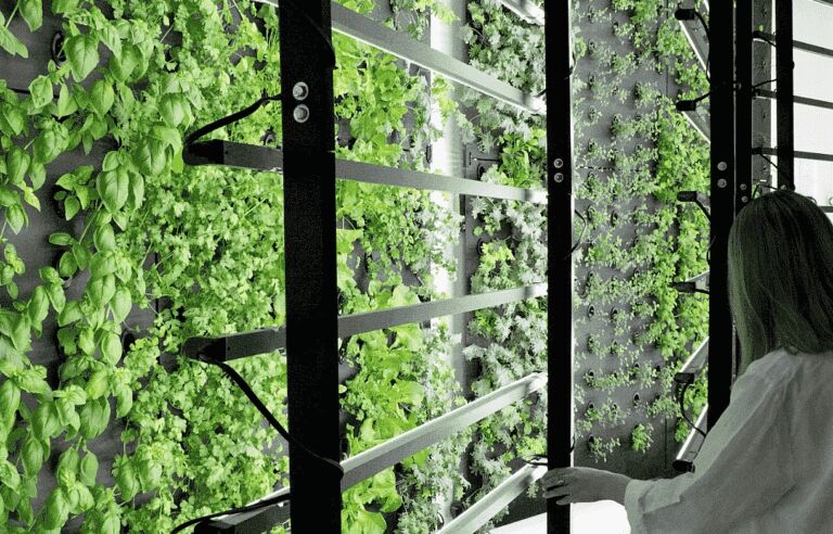 40' X 16' Vertical Produce Farm