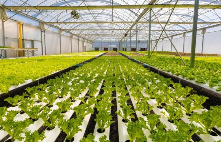 Food Security vs Food Sovereignty