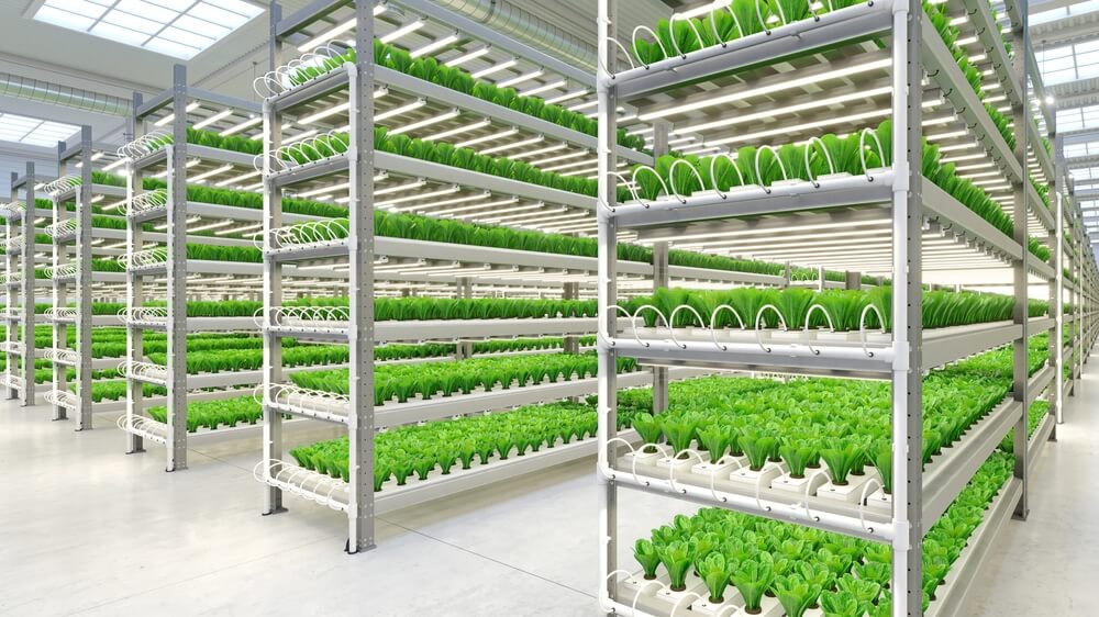 Indoor Farming