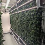 GrowSpout Hydroponic Garden Wall