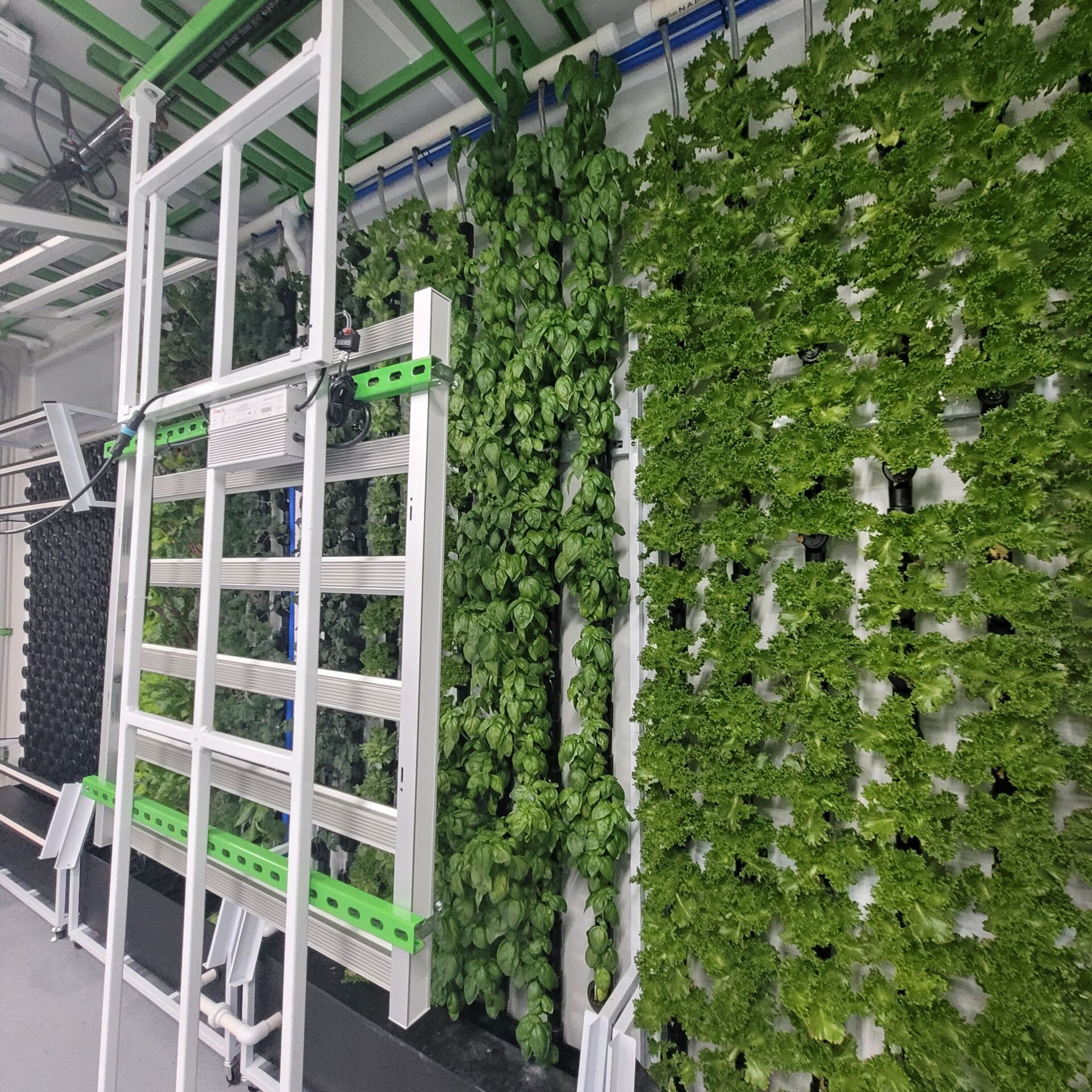 Hydroponic Grow System