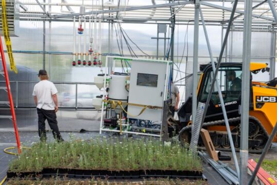 Greenhouse all To Action