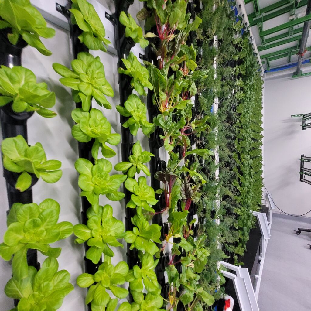 Inside NuLeaf Innovation and Research Lab