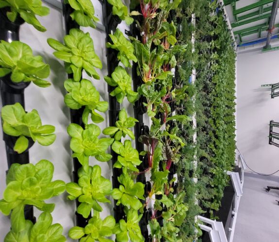 Inside NuLeaf Innovation and Research Lab