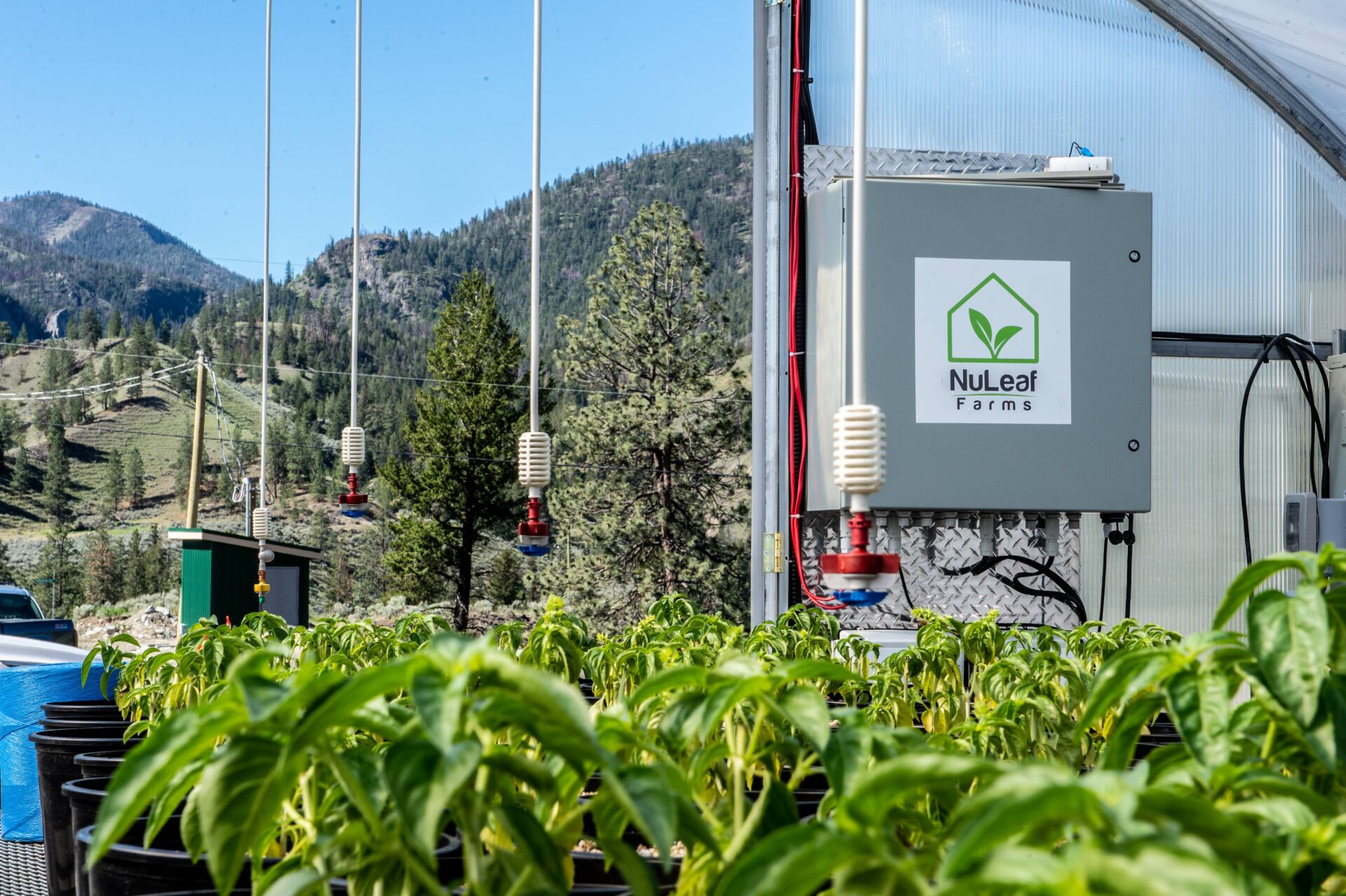 Who We Work With: Purpose-Driven Partnerships in Controlled Environment Agriculture